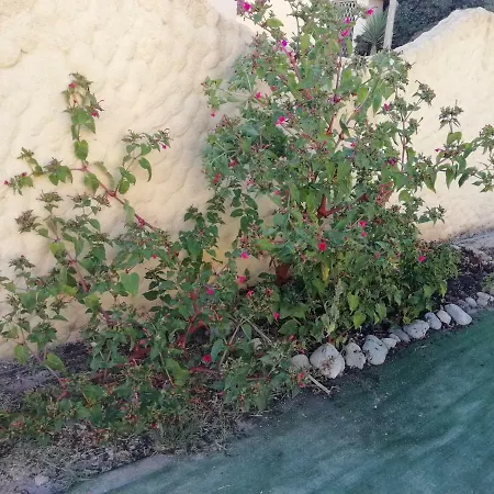 The Sea Of Sardinia Domus Gerardii דירה פוצו אידו