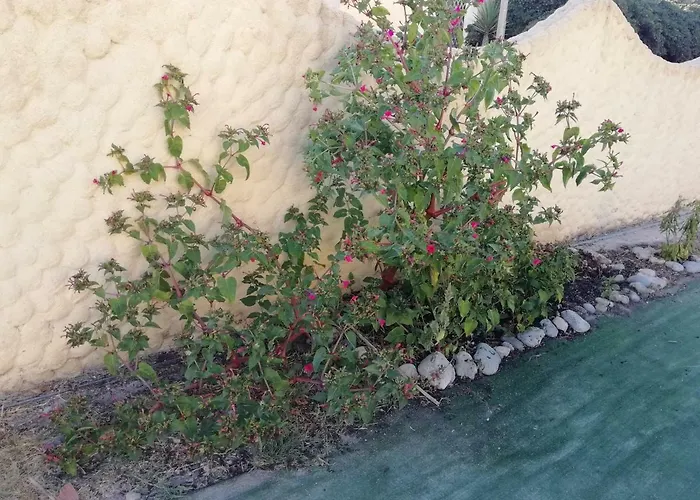 The Sea Of Sardinia Domus Gerardii Appartement Putzu Idu